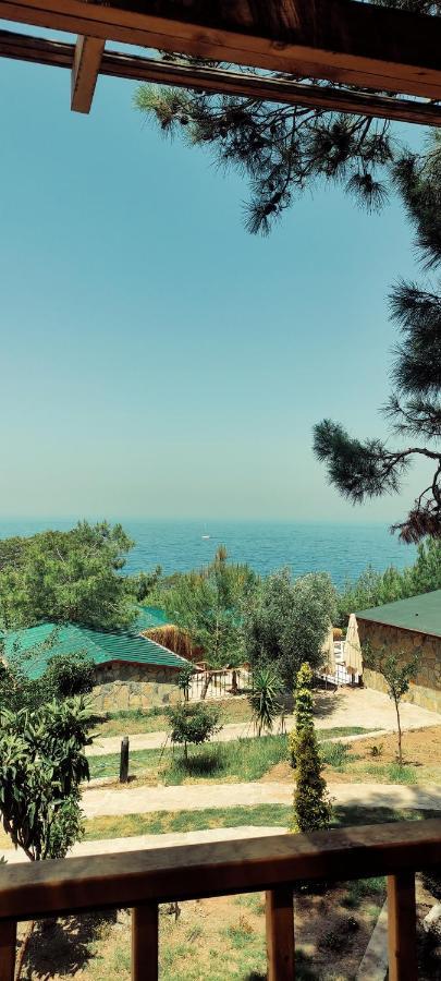 Rocas Roja Hotel Faralya Exterior foto